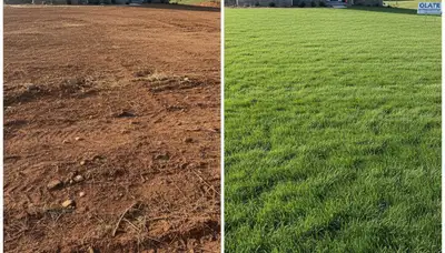 Before and after hydroseeding showing bare soil transforming to lush green lawn in Olathe, KS