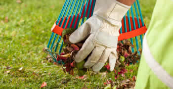 Yard Clean Up Olathe KS Chop Chop Landscaping Olathe KS